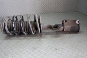 Veerpoot rechts voor