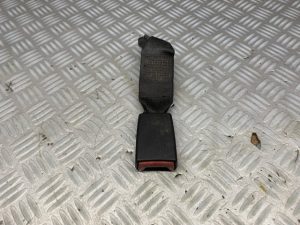 Gordelvanger midden achter