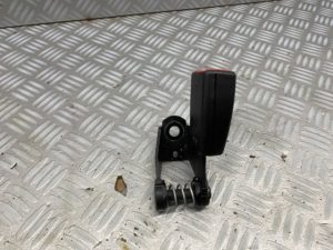 Gordelvanger rechts achter