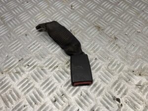 Gordelvanger midden achter