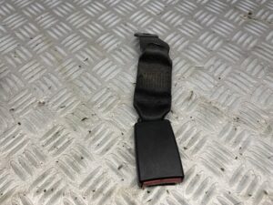 Gordelvanger midden achter