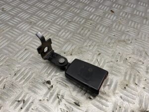 Gordelvanger rechts achter